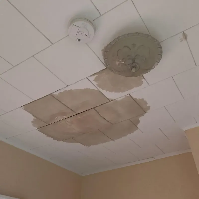 Ceiling Water Damage Repair in Leonville, LA